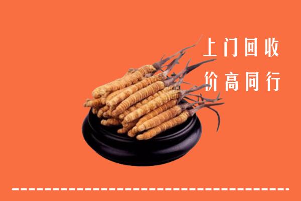 高价求购：怀化回收散虫草