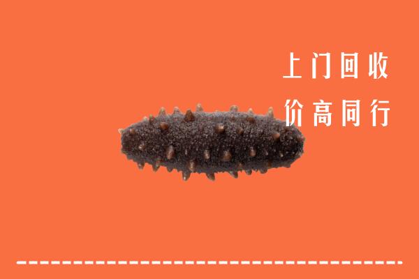 高价求购：怀化回收海参
