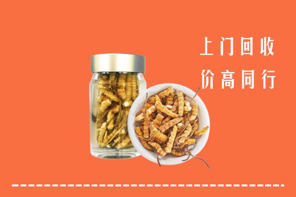 怀化回收冬虫夏草